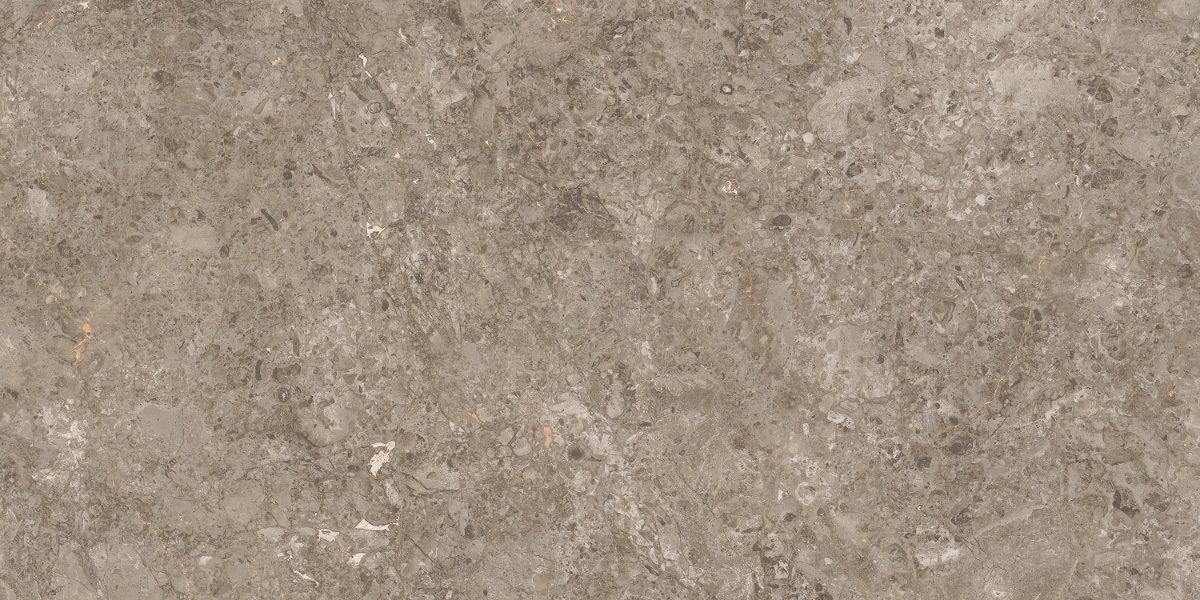 GREY VILLIAM Face 01