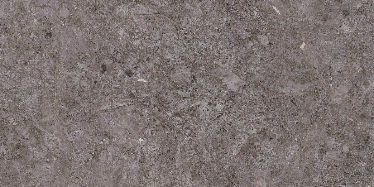 GREY WILLIAM GRIS R2