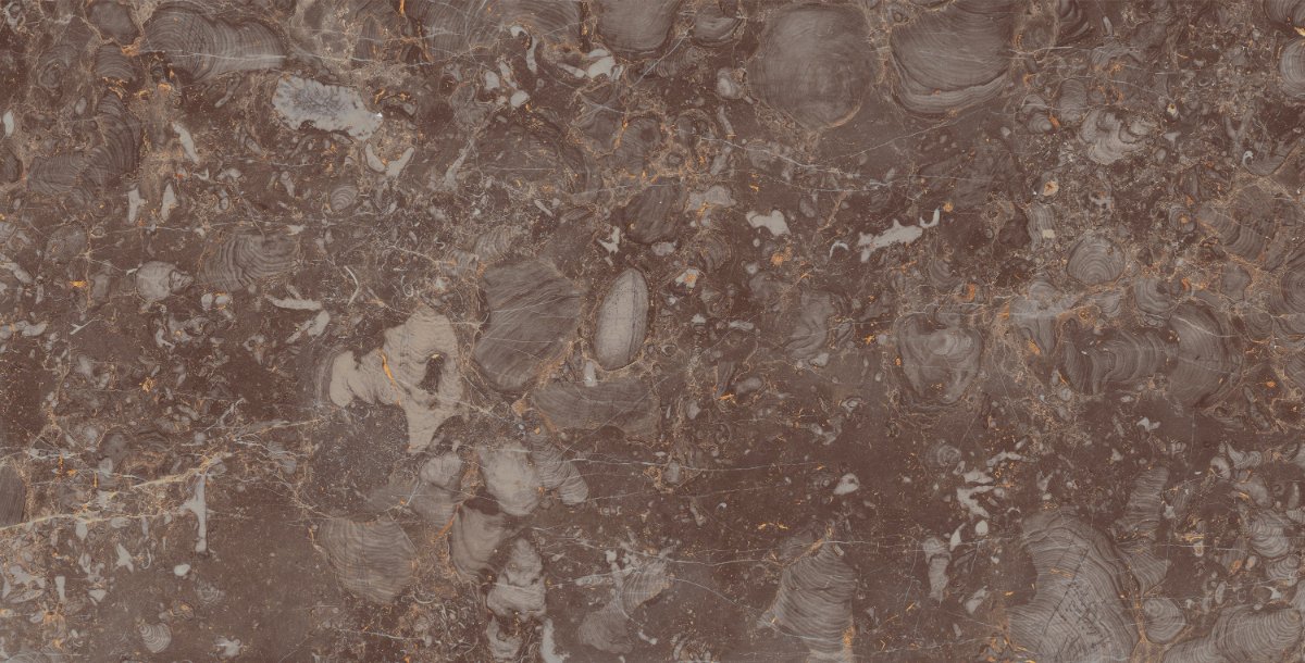 TITANIO GOLD 80X160 Face 2