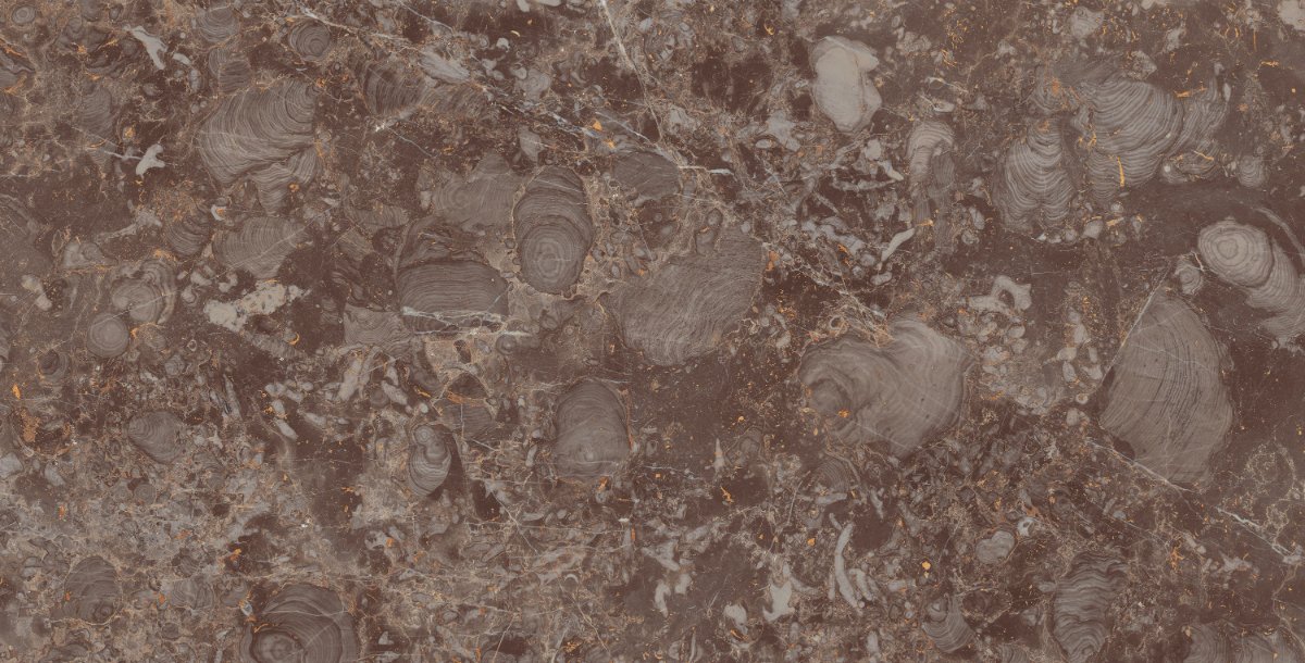 TITANIO GOLD 80X160 Face 3