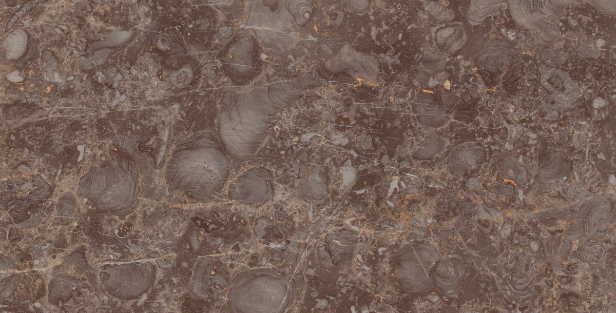 TITANIO GOLD 80X160 Face 4